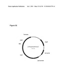 REDUCTION OF CARBON DIOXIDE EMISSION DURING ISOPRENE PRODUCTION BY FERMENTATION diagram and image