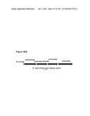 REDUCTION OF CARBON DIOXIDE EMISSION DURING ISOPRENE PRODUCTION BY FERMENTATION diagram and image