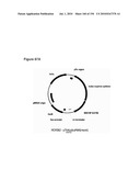 REDUCTION OF CARBON DIOXIDE EMISSION DURING ISOPRENE PRODUCTION BY FERMENTATION diagram and image