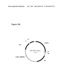 REDUCTION OF CARBON DIOXIDE EMISSION DURING ISOPRENE PRODUCTION BY FERMENTATION diagram and image