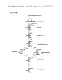 REDUCTION OF CARBON DIOXIDE EMISSION DURING ISOPRENE PRODUCTION BY FERMENTATION diagram and image