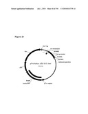 REDUCTION OF CARBON DIOXIDE EMISSION DURING ISOPRENE PRODUCTION BY FERMENTATION diagram and image