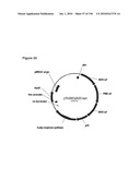 REDUCTION OF CARBON DIOXIDE EMISSION DURING ISOPRENE PRODUCTION BY FERMENTATION diagram and image