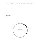 REDUCTION OF CARBON DIOXIDE EMISSION DURING ISOPRENE PRODUCTION BY FERMENTATION diagram and image