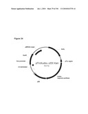 REDUCTION OF CARBON DIOXIDE EMISSION DURING ISOPRENE PRODUCTION BY FERMENTATION diagram and image