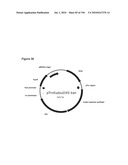 REDUCTION OF CARBON DIOXIDE EMISSION DURING ISOPRENE PRODUCTION BY FERMENTATION diagram and image