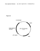 REDUCTION OF CARBON DIOXIDE EMISSION DURING ISOPRENE PRODUCTION BY FERMENTATION diagram and image