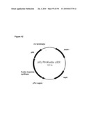 REDUCTION OF CARBON DIOXIDE EMISSION DURING ISOPRENE PRODUCTION BY FERMENTATION diagram and image