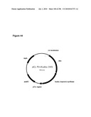 SYSTEMS USING CELL CULTURE FOR PRODUCTION OF ISOPRENE diagram and image