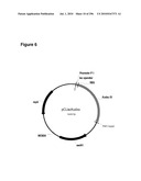 SYSTEMS USING CELL CULTURE FOR PRODUCTION OF ISOPRENE diagram and image