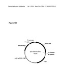 SYSTEMS USING CELL CULTURE FOR PRODUCTION OF ISOPRENE diagram and image