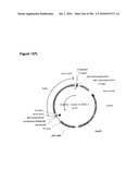 SYSTEMS USING CELL CULTURE FOR PRODUCTION OF ISOPRENE diagram and image