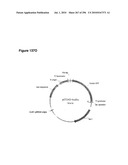 SYSTEMS USING CELL CULTURE FOR PRODUCTION OF ISOPRENE diagram and image