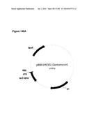 SYSTEMS USING CELL CULTURE FOR PRODUCTION OF ISOPRENE diagram and image