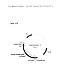 SYSTEMS USING CELL CULTURE FOR PRODUCTION OF ISOPRENE diagram and image