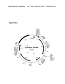 SYSTEMS USING CELL CULTURE FOR PRODUCTION OF ISOPRENE diagram and image