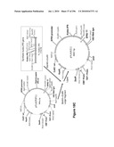 SYSTEMS USING CELL CULTURE FOR PRODUCTION OF ISOPRENE diagram and image