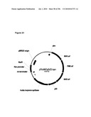 SYSTEMS USING CELL CULTURE FOR PRODUCTION OF ISOPRENE diagram and image