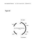 SYSTEMS USING CELL CULTURE FOR PRODUCTION OF ISOPRENE diagram and image