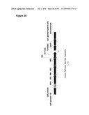 SYSTEMS USING CELL CULTURE FOR PRODUCTION OF ISOPRENE diagram and image