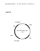 SYSTEMS USING CELL CULTURE FOR PRODUCTION OF ISOPRENE diagram and image