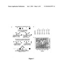 METHODS FOR PRODUCING ACTIVE SCFV ANTIBODIES AND LIBRARIES THEREFOR diagram and image