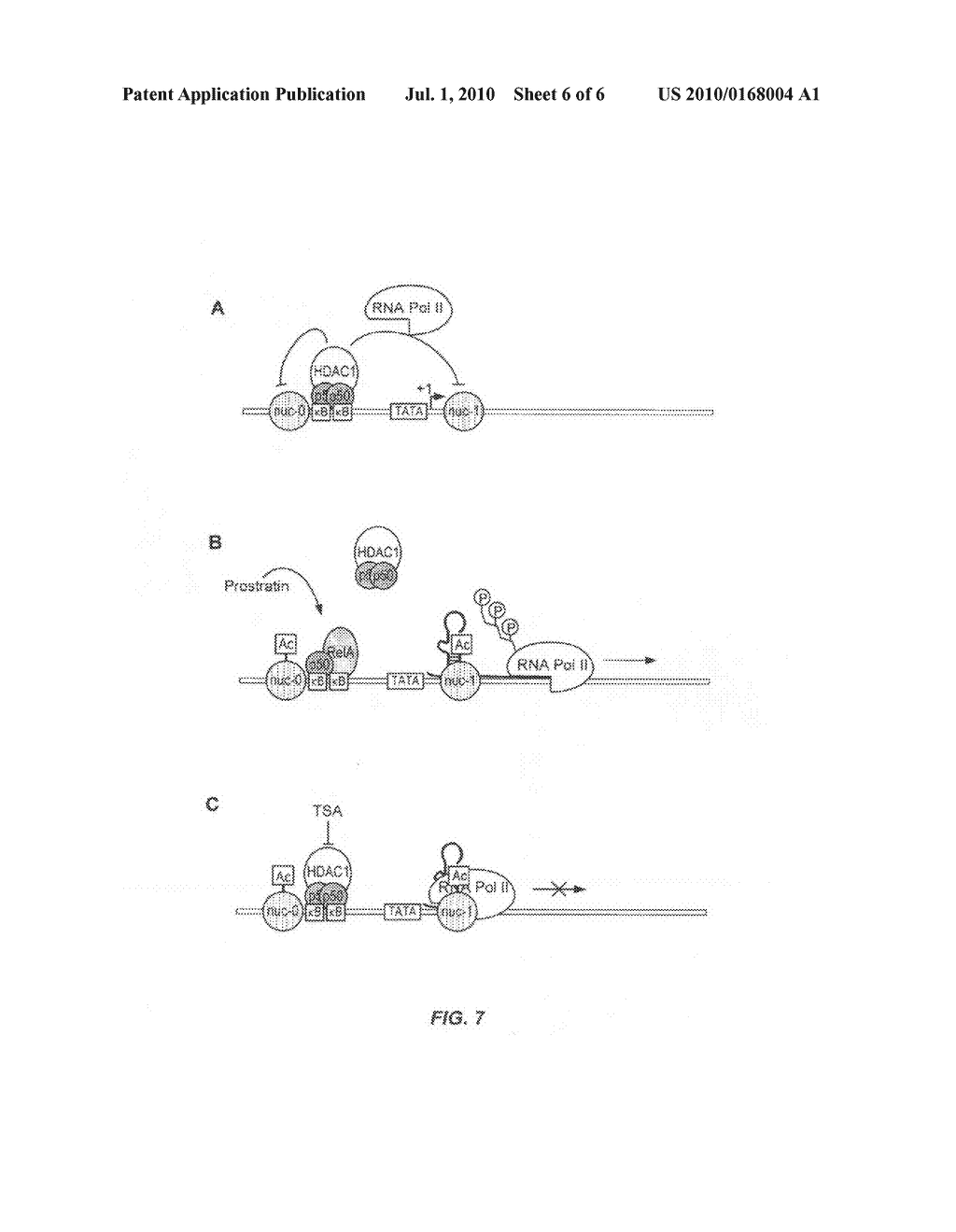 METHODS AND COMPOSITIONS FOR THE SYNERGISTIC ACTIVATION OF LATENT HIV - diagram, schematic, and image 07