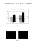 COMBINATION OF MONOSACCHARIDES AND DESQUAMATING AGENTS, AND USE THEREOF diagram and image