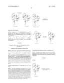 METHODS OF USING [3.2.0] HETEROCYCLIC COMPOUNDS AND ANALOGS THEREOF FOR TREATING INFECTIOUS DISEASES diagram and image