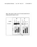 Drug Combinations for the Treatment of Duchenne Muscular Dystrophy diagram and image