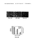 GALANTAMINE AS A NEUROPROTECTIVE DRUG FOR RETINAL GANGLION CELLS diagram and image