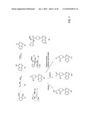 AKT PROTEIN KINASE INHIBITORS diagram and image