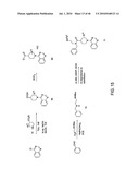 AKT PROTEIN KINASE INHIBITORS diagram and image