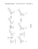 AKT PROTEIN KINASE INHIBITORS diagram and image