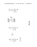 AKT PROTEIN KINASE INHIBITORS diagram and image