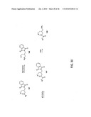 AKT PROTEIN KINASE INHIBITORS diagram and image