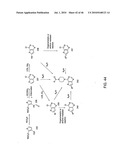 AKT PROTEIN KINASE INHIBITORS diagram and image