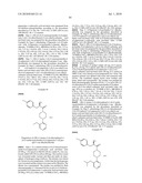 AKT PROTEIN KINASE INHIBITORS diagram and image