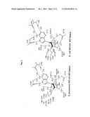 AZETIDINE ANALOGUES NUCLEOSIDASE AND PHOSPHORYLASE INHIBITORS diagram and image