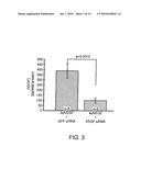 COMPOSITIONS AND METHODS FOR SIRNA INHIBITION OF ANGIOGENESIS diagram and image