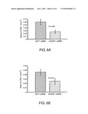 COMPOSITIONS AND METHODS FOR SIRNA INHIBITION OF ANGIOGENESIS diagram and image