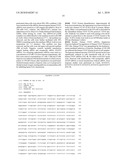 COMPOSITIONS AND METHODS FOR SIRNA INHIBITION OF ANGIOGENESIS diagram and image