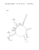 OLIGOMERS diagram and image