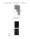 OLIGOMERS diagram and image