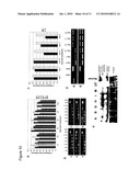 OLIGOMERS diagram and image