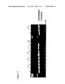 OLIGOMERS diagram and image