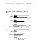 NOVEL CHEMOTHERAPEUTIC AGENTS AGAINST INFLAMMATION AND CANCER diagram and image