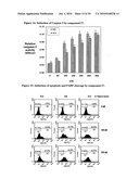 NOVEL CHEMOTHERAPEUTIC AGENTS AGAINST INFLAMMATION AND CANCER diagram and image