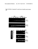 NOVEL CHEMOTHERAPEUTIC AGENTS AGAINST INFLAMMATION AND CANCER diagram and image