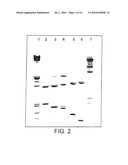 Chimeric CrylE Delta Endotoxin and Methods of Controlling Insects diagram and image